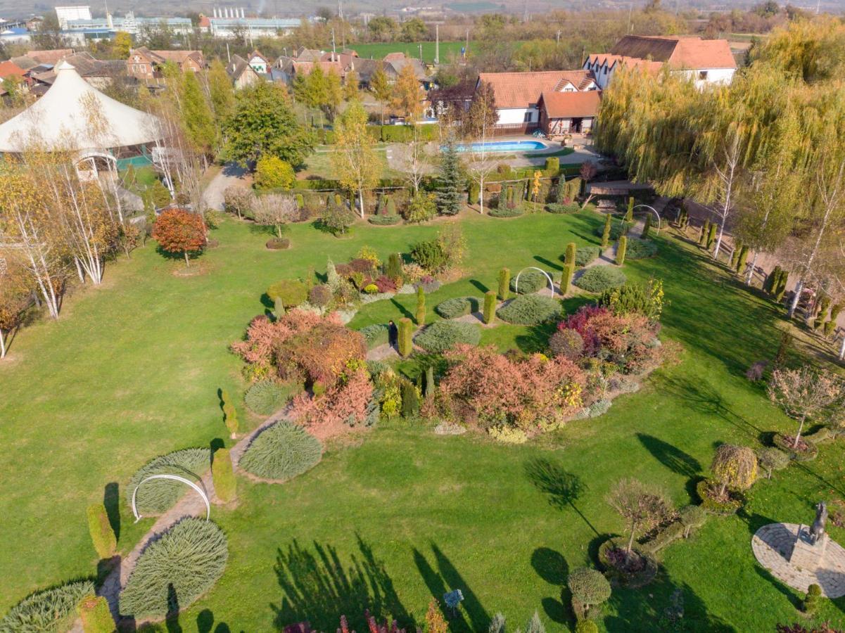 Domeniul Dracula Danes Hotel Екстериор снимка