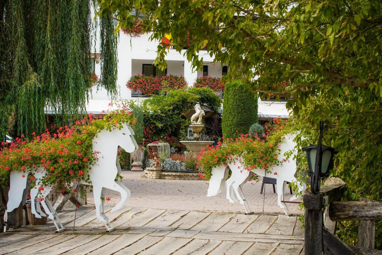 Domeniul Dracula Danes Hotel Екстериор снимка